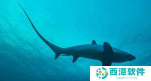 2021《支付宝》1月11日每日一题答案（2）