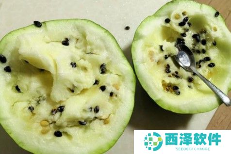 2021《支付宝》1月11日每日一题答案（3）