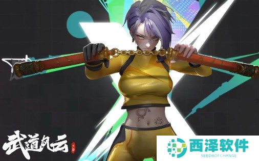 武道风云最新礼包码合集2024