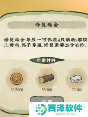 仙山小农养鸽子教程