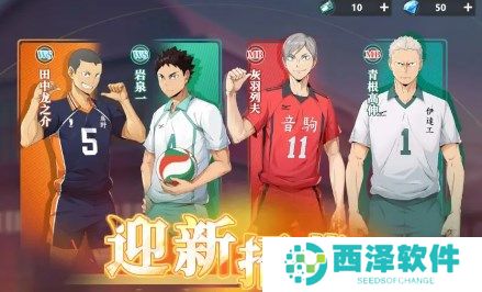 排球少年新的征程迎新卡池选择推荐