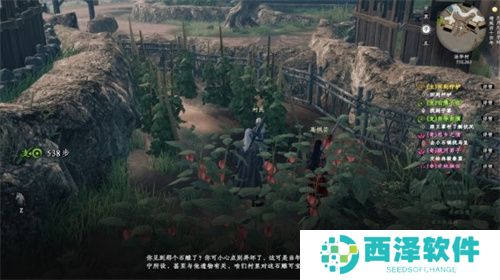 下一站江湖2法华村密藏解谜方法流程