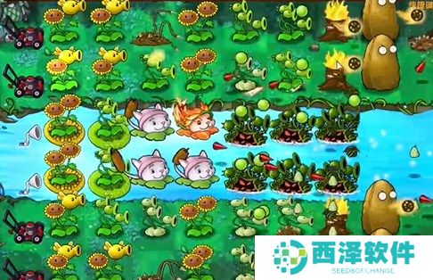 植物大战僵尸融合版冒险模式25关通关详解