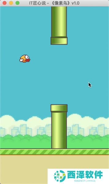 方块小鸟最新免费版