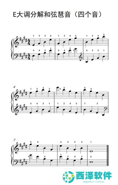 钢琴节拍最新手机版