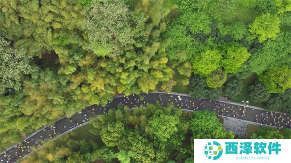 动感节拍最新手机版