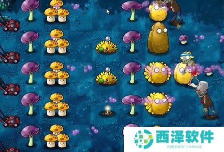 植物大战僵尸融合版冒险模式10关通关详解