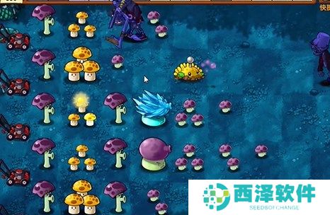 植物大战僵尸融合版冒险模式11关图文攻略