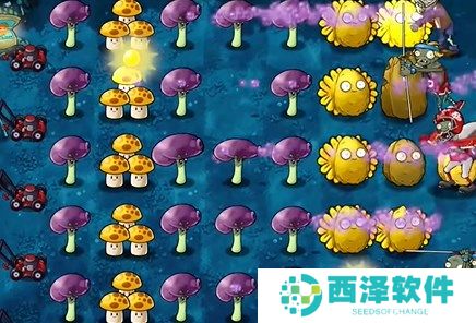 植物大战僵尸融合版冒险模式10关通关详解
