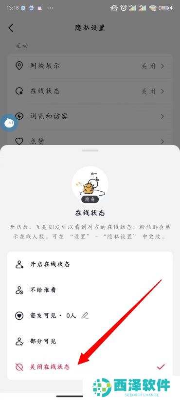 抖音状态怎么设置不在线
