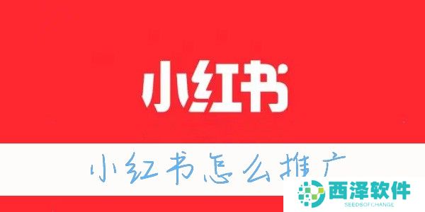 小红书怎么推广