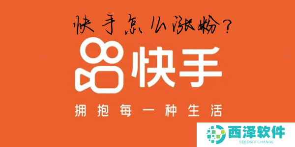 快手怎么快速涨粉