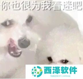 网络用语恁应该也很为俺啄米吧是什么梗