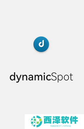 dynamicSpot怎么设置