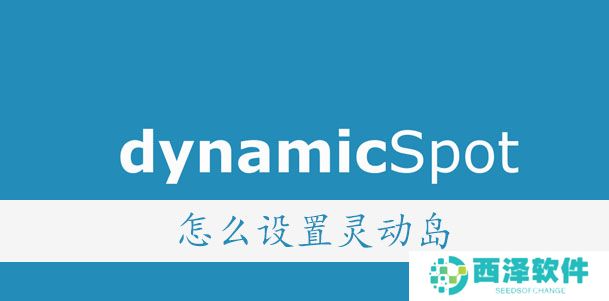 dynamicSpot怎么设置