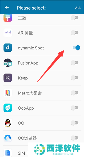 dynamicSpot怎么设置