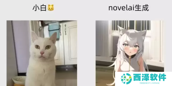 novelai如何使用