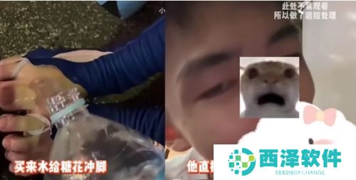 中日情侣糖花和黄毛再现辣眼操作，用嘴清理女友脚上沙子，网友不淡定了