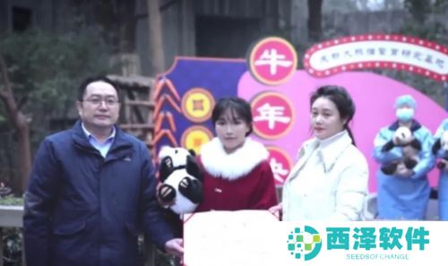 李子柒化身“熊猫姐姐”再度亮相，亲手缝制熊猫蜀锦裙，精巧手艺获好评