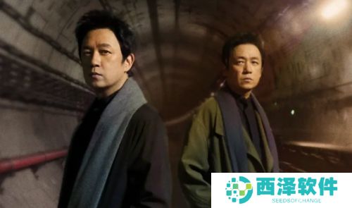 《白夜破晓》赵茜并非间谍，实际只是利用身份行便利，连娃娃脸也被算计